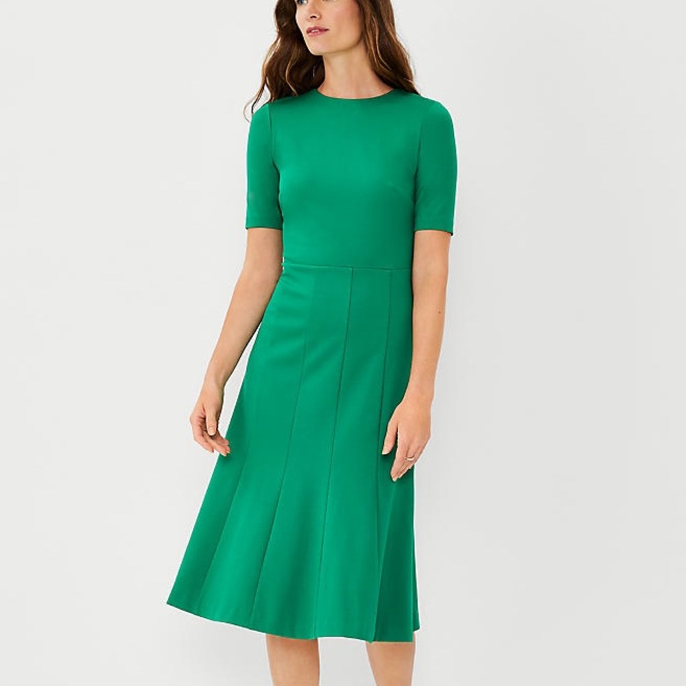 NWT Ann Taylor Short Sleeve Flare Dress